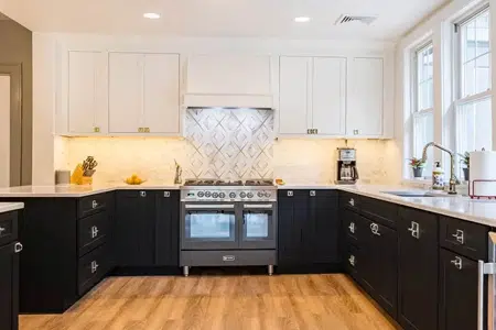 Two Tone Kitchen Cabinet