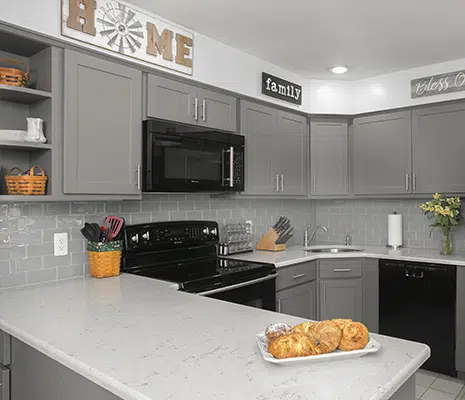 Matt Finish Cabinets